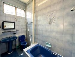 Fengli Gardens (D19), Semi-Detached #473627141